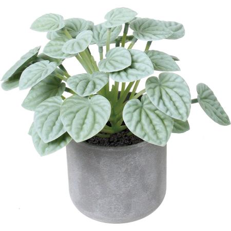 特価◎【人工観葉植物】YDM/20cmペペロミアポット グリーン/GLA-1605GR