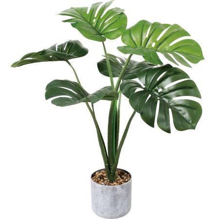 特価◎【人工観葉植物】YDM/60cmモンステラポット グリーン/GLA-1615GR