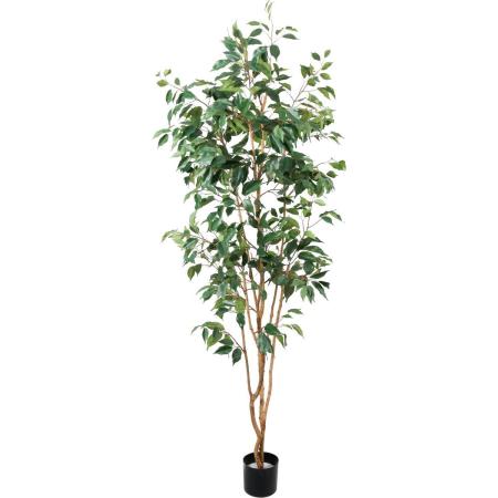 特価◎【直送】【人工観葉植物】YDM/210cmベンジャミンツリー/GLP-1594GR ※返品・代引・キャンセル不可