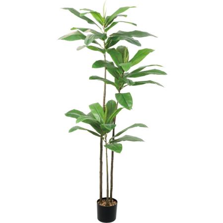 特価◎【直送】【人工観葉植物】YDM/180cmエレファントアップル/GLP-1590GR ※返品・代引・キャンセル不可