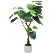 【人工観葉植物】YDM/ウンベラータポット グリーン/GLA-1645GR