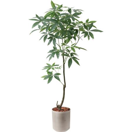 特価◎【人工観葉植物】YDM/150cmパキラ/GLPS-1565AGY2