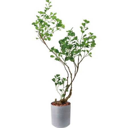 特価◎【人工観葉植物】YDM/125cmフィカストライアンギュラス/GLPS-1578AGY2