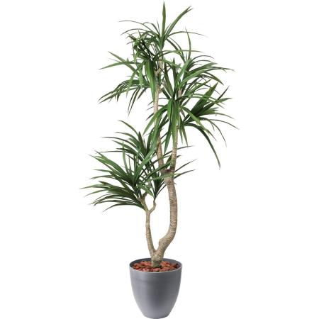 特価◎【人工観葉植物】YDM/150cmクラスタードラセナ/GLPS-1592AGY2