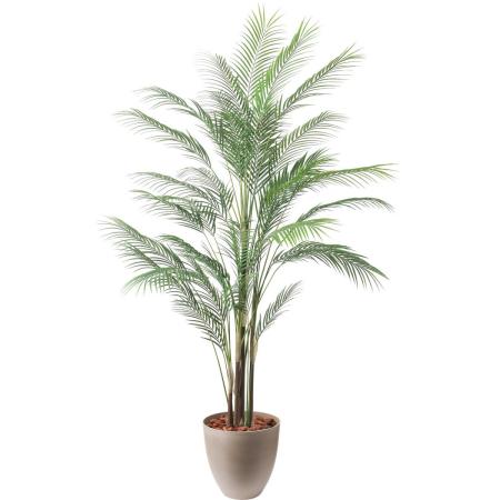 特価◎【直送】【人工観葉植物】YDM/185cmアレカヤシL/GLPS-1550AGY2 ※返品・代引・キャンセル不可