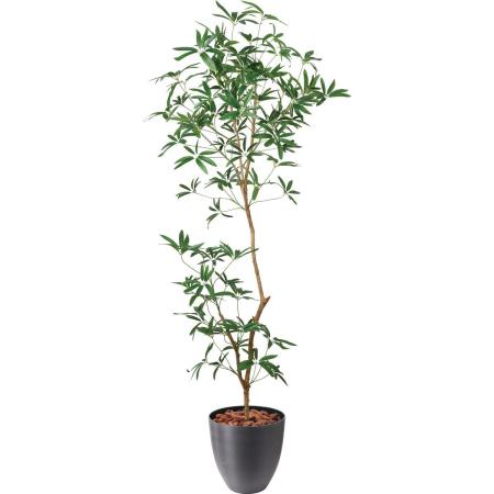 特価◎【直送】【人工観葉植物】YDM/180cmシェフレラアンガスティフォリア ※返品・代引・キャンセル不可