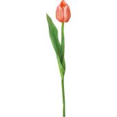【造花】YDM/マイクロチューリップ/FS-7031OP