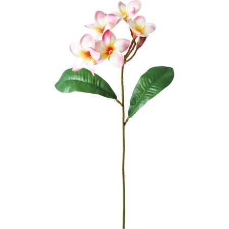 【造花】YDM/プルメリア/FS-8412P
