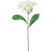 【造花】YDM/プルメリア/FS-8412W