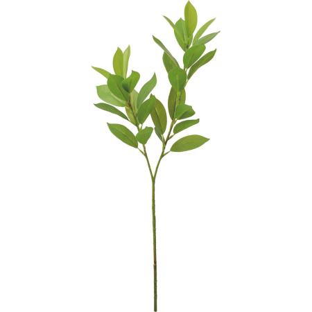 特価◎【造花】YDM/フレッシュタッチルスカス×2 グリーン/FG-5517GR