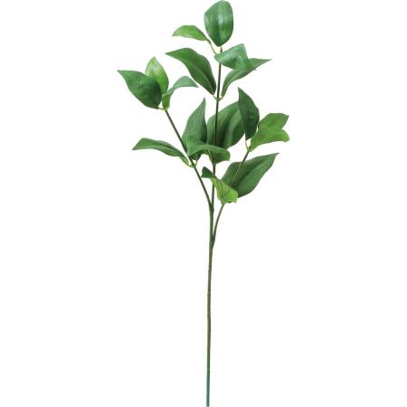 特価◎【造花】YDM/ルスカス グリーン/FG-5524GR