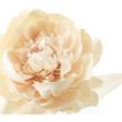 【造花】YDM/エトワールピオニー ベージュ/FS-6354BE