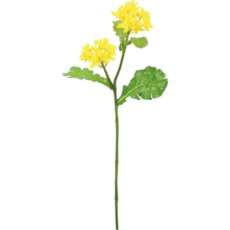【造花】YDM/菜の花 イエロー/FS-5516Y