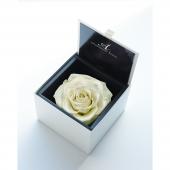 プリザーブド】アモローサ/ダイヤモンドローズボックス 105(箱