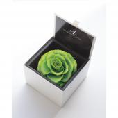 プリザーブド】アモローサ/ダイヤモンドローズボックス 105(箱