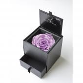 デザートローズ 新品未使用 JR キハ261 1000系特急ディーゼルカー(7次車・おおぞら・新塗装