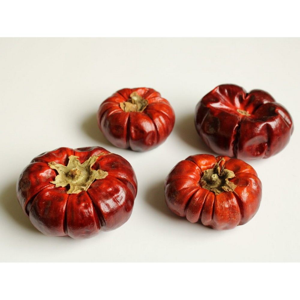 即日 ドライ 大地農園 ソラナム 大小アソート 4個 N 112 000 通販 はなどんやアソシエ 即日 ドライ 大地農園 ソラナム 大小アソート 4個 N 112 000 通販 はなどんやアソシエ