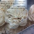 即日★【ハンドメイドフラワー】大地農園/ソーラーローズ　小　10本　エンジェルイエロー/32081-541