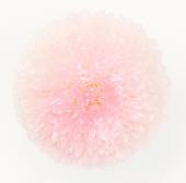 モコ様❤️専用【プリザーブドフラワー♡】ポンポン菊・ミディ　スウィートライラック モコ様❤️専用【プリザーブドフラワー♡】ポンポン菊・ミディ