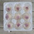 【プリザーブド】大地農園/ポンポン菊・ミディー 9輪 ホワイトパープル/02646-403