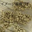 【プリザーブド】大地農園/ペッパーベリー・プリザーブド 約55g 黒/03380-890
