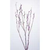 プリザーブド枝物 通販 はなどんやアソシエ