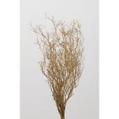 【プリザーブド】大地農園/ヴェスペネスト・プリザーブド ヤク38g ゴールド/2740-902