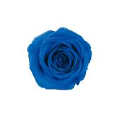 【プリザーブド】大地農園/ローズ・サラ 9輪 インディゴブルー/02580-661