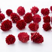 特価◎即日☆【ドライ】大地農園/カラ松(国産) 90g N/24121-000 - 花材