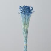 大きなひょうたんランプ♡ドイリーレース 薔薇 ♡シェイドのみ♡訳あり えっくす☆きゅーと15thシリーズ「Melty☆Cute/Dream Maid Raili