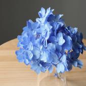 プリザーブド】大地農園/ひなアジサイ ピンク/01100-102 - 花材通販は
