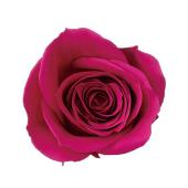 プリザーブド】大地農園/ローズ・いずみ 9リン ロゼ/3480-282 - 花材