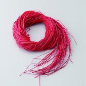 【ドライ】大地農園/マダガスカルラフィア 70g レッド/60751-300