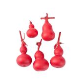 特価◎即日★【ドライ】大地農園/豆ひょうたん 5個 レッド/22330-300