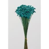 【ドライ】大地農園/スターフラワー・ブロッサム 18ｇ ターコイズブルー/30191-631