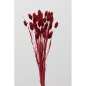 【ドライ】大地農園/ポアプランツ ヤク19g レッド/42020-301