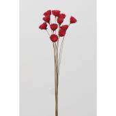 即日☆【ドライ】大地農園/カップフラワー 12ホン シロ/32320-10 - 花