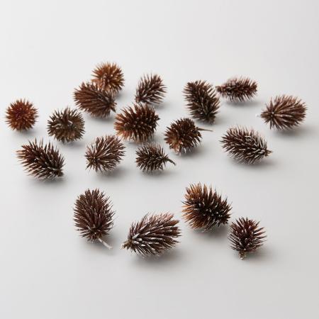 特価◎【ドライ】大地農園/ノグルミ 15コ スノー/24280-982