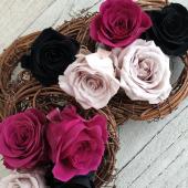 ローズさま専用 即日☆【プリザーブド】大地農園/いずみ ローズカラーアソート9輪