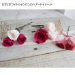 特価◎即日★【プリザーブド】大地農園/ビビアン ローズカラーアソート24輪 2025AW新色MIX/2379-9281