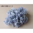 特価◎【プリザーブド】大地農園/グレビレア・アイバンフォー 約30g コバルトグリーン/1430-761