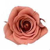 即日☆【プリザーブド】大地農園/ローズ・いずみ 9輪 ピュアホワイト