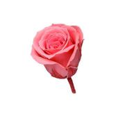 即日☆【プリザーブド】大地農園/ビビアン 24輪 ピュアホワイト/02370