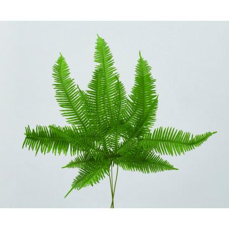 【プリザーブド】大地農園/山シダ・プリザーブド(耐光性) 5枚 グリーン/76-50295-702