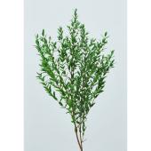 即日★【プリザーブド】大地農園/小葉ユーカリ(国産) 40g ミストグリーン/76-1790-770