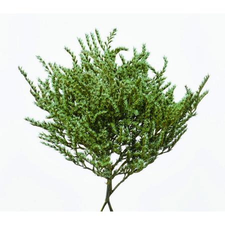 【プリザーブド】大地農園/タタリカ 40g コバルトグリーン/76-2010-761