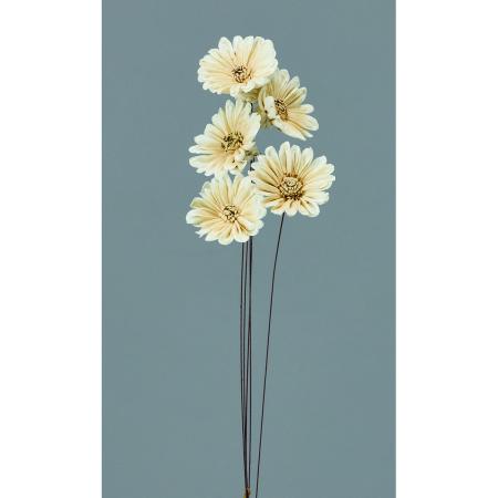 【ハンドメイドフラワー】大地農園/ソーラーデイジー 5ホン シロ/ブラウン/76-32750-83
