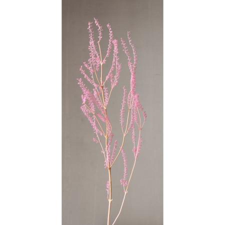 【プリザーブド】大地農園/リトルベル 10g ストロベリー/76-3400-221