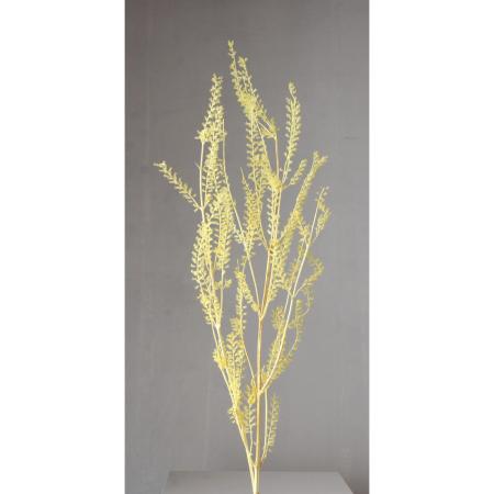 【プリザーブド】大地農園/リトルベル 10g イエロー/76-3400-501