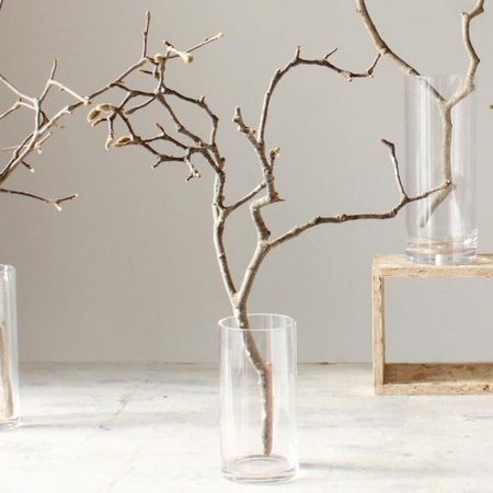 【ドライ】大地農園/モクレン・S(国産) 1ホン N/76-57001-0